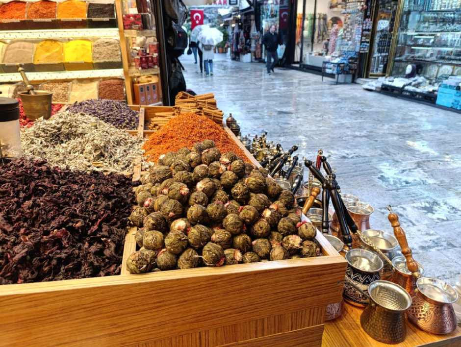 Гуляем по Стамбулу и знакомимся с котами 26.jpg