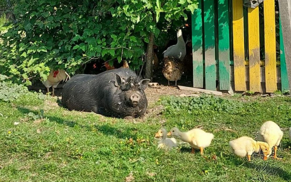 Лето в деревне 8.jpg