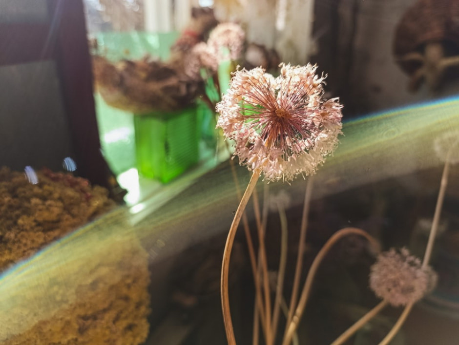 Клоунариум в деревне Зябки 25.jpg