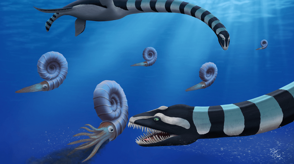 канадская рептилия