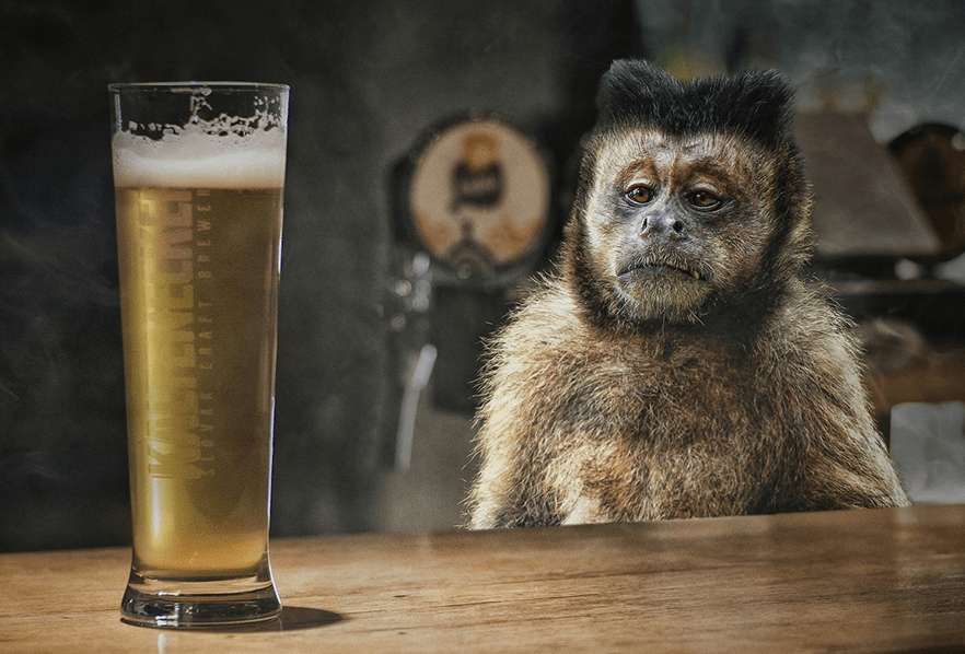 обезьяна макака пиво.png обезьяна макака пиво.png