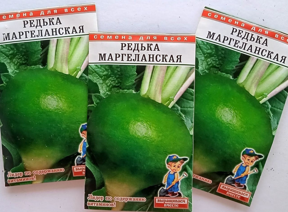 редька редька 2.jpg