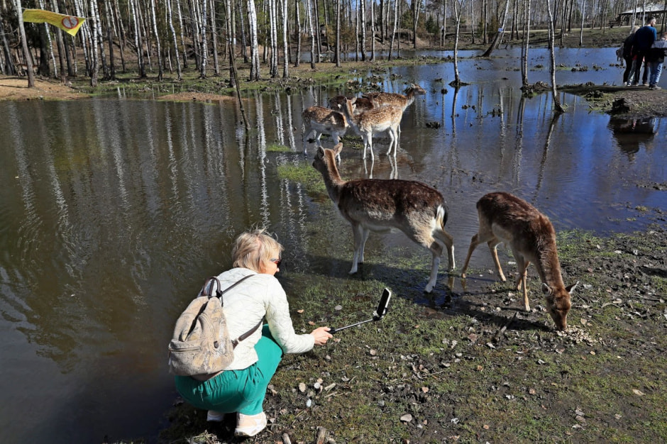 Несвижский замок и окрестности 27.jpg