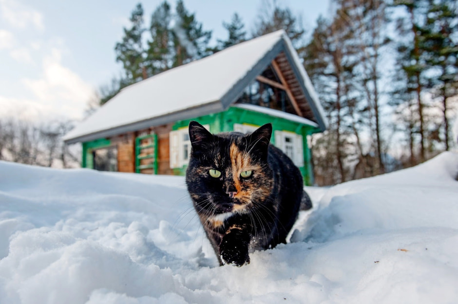 Архитектор купила деревенскую хату 40.jpg