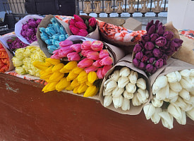 Сколько стоят цветы к 8 Марта в Минске: проверили улицы и магазины