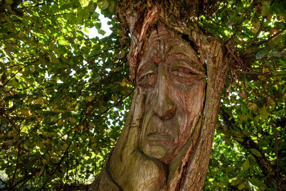 Деревня Забродье 1.jpg