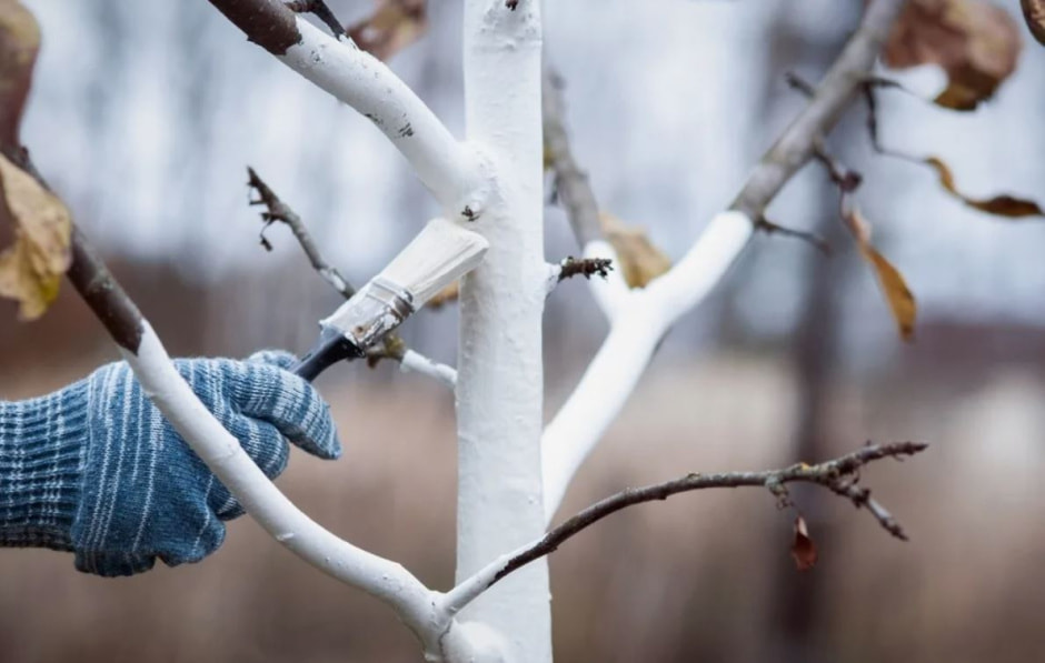 побелка 1.jpg