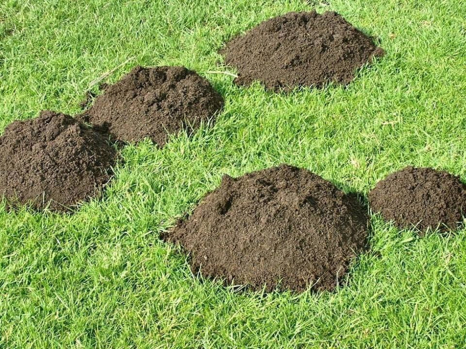 Вода против кротов3.jpg