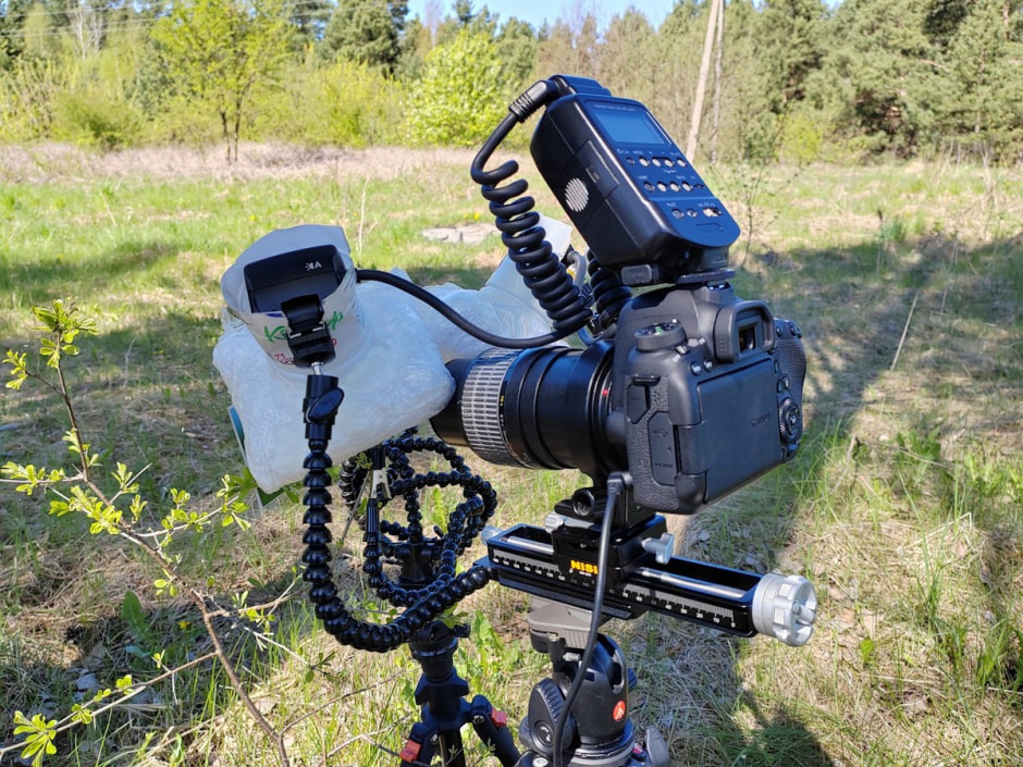 Фотограф насекомых 9.jpg