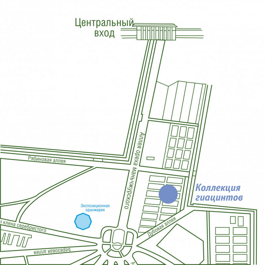 Прогулка по Ботаническому саду 24-1.png