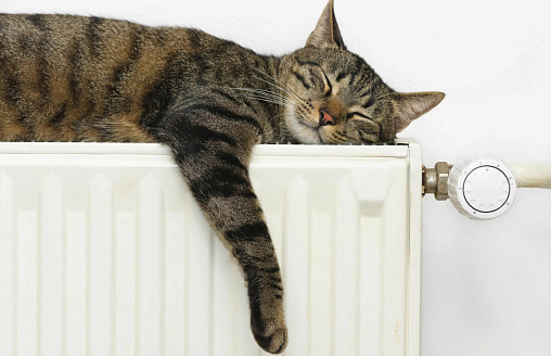 Когда отключат отопление в домах, школах и детсадах Беларуси? Узнали заранее