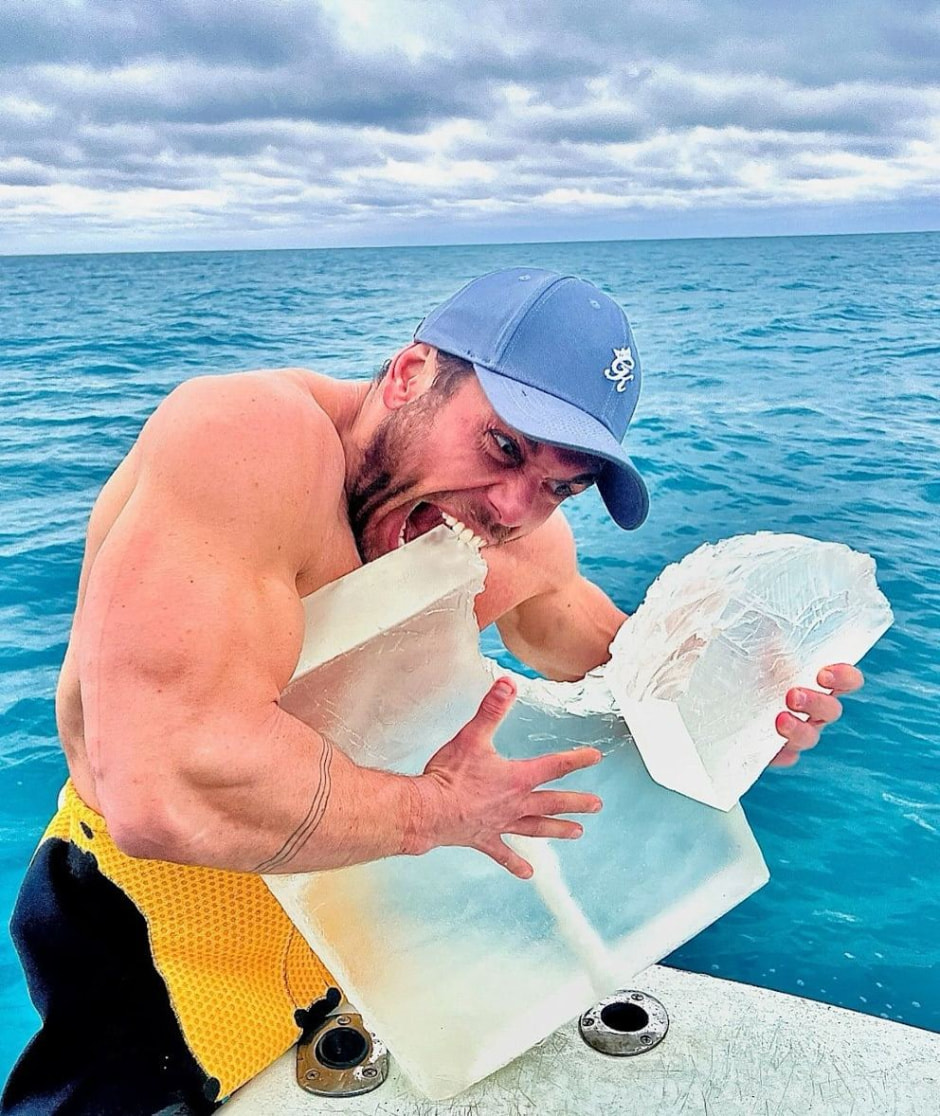 Еда акулы.jpg