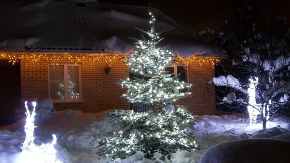 нг на даче 2.jpg