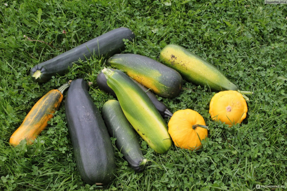 photo_2026-01-04_12-59-49 (4).jpg