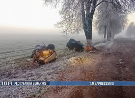 В Гомельской области Opel разорвало о дерево, погибли два 18-летних парня