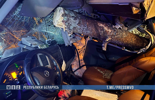 Под Вилейкой маршрутка с 12 пассажирами наехала на дерево
