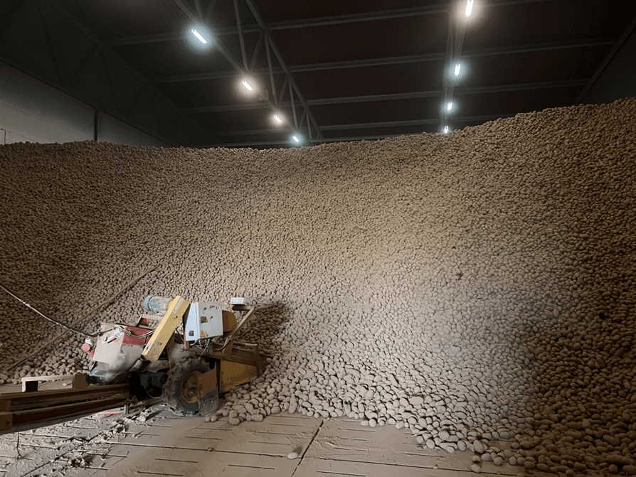 картофель хранилище