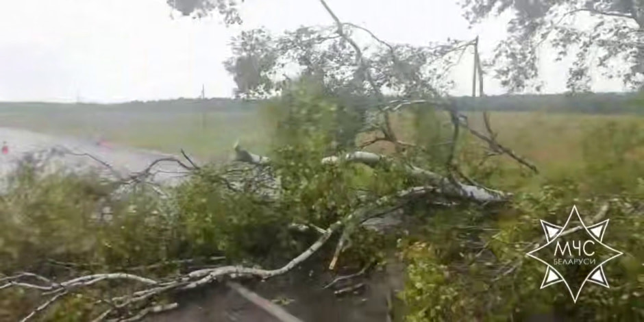 ветер в июне.jpg