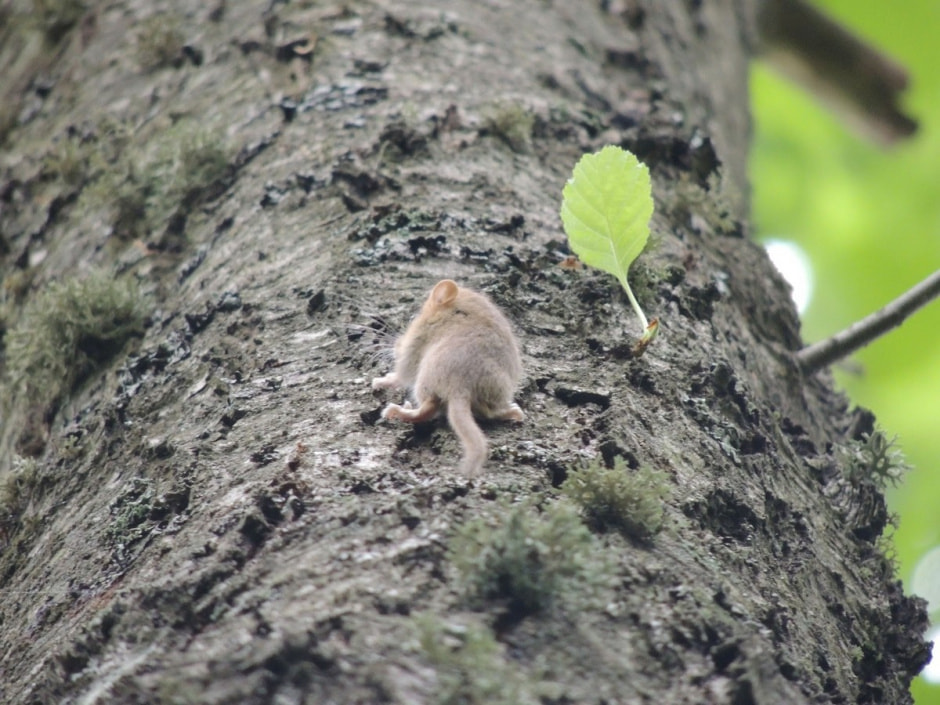 Экспедиция сони 22.jpg Экспедиция сони 22.jpg