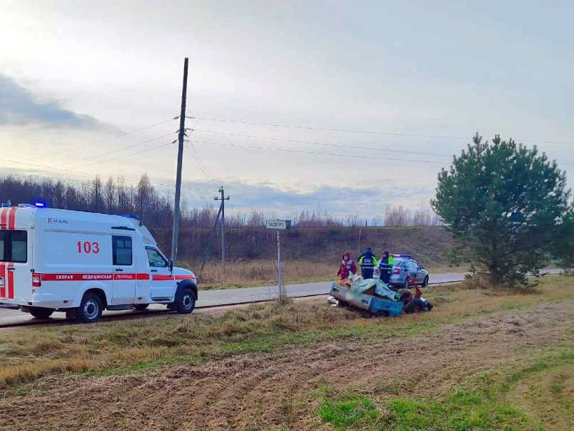В Столбцовском районе пенсионер погиб под колесами своего же мотоблока (3).jpg