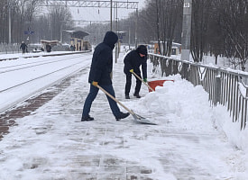 Более 10 тысяч человек и свыше 2,5 тысячи машин: как в Беларуси устраняют последствия циклона “Улли”