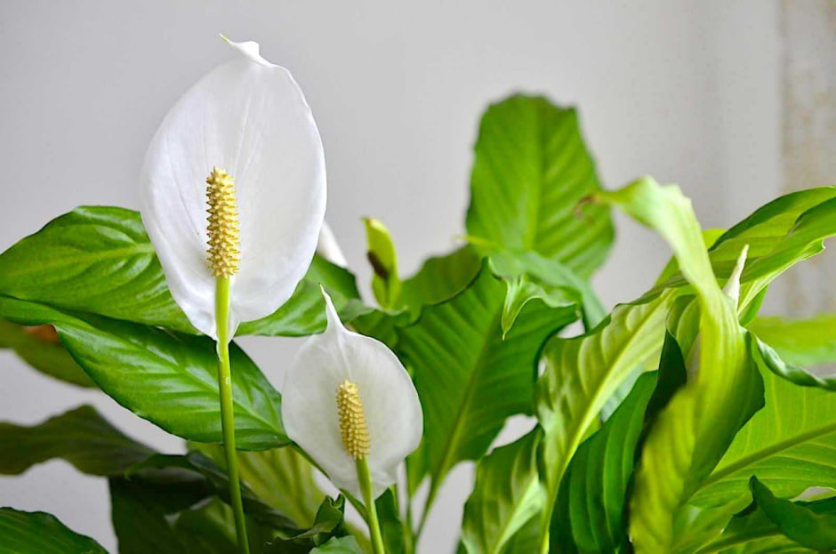 photo_2025-01-05_14-16-09 (2).jpg photo_2025-01-05_14-16-09 (2).jpg