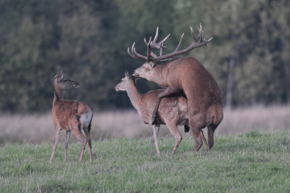 Сергей Плыткевич и его фото 3.png