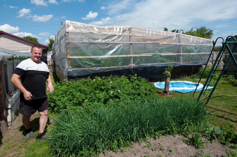 Семья Лой 20 лет выращивает огурцы и помидоры 17.jpg