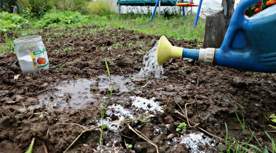 photo_2025-11-17_21-17-21 (2).jpg