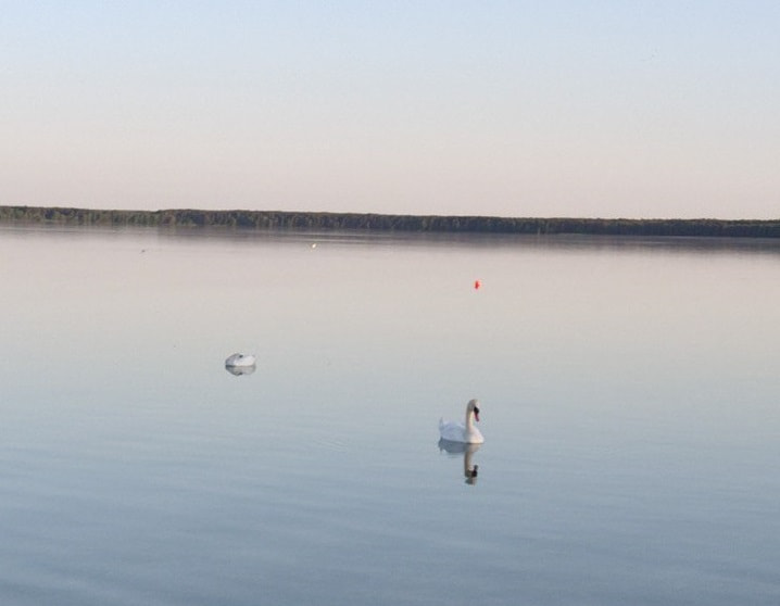 круиз1.jpg круиз1.jpg