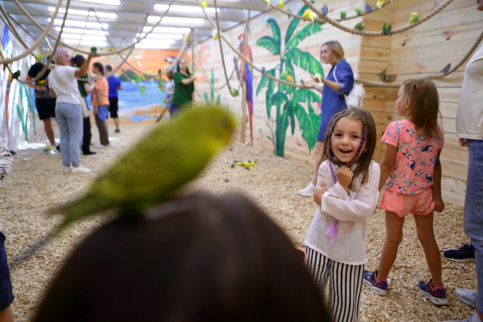 Попугайня в Витебске 5.jpg