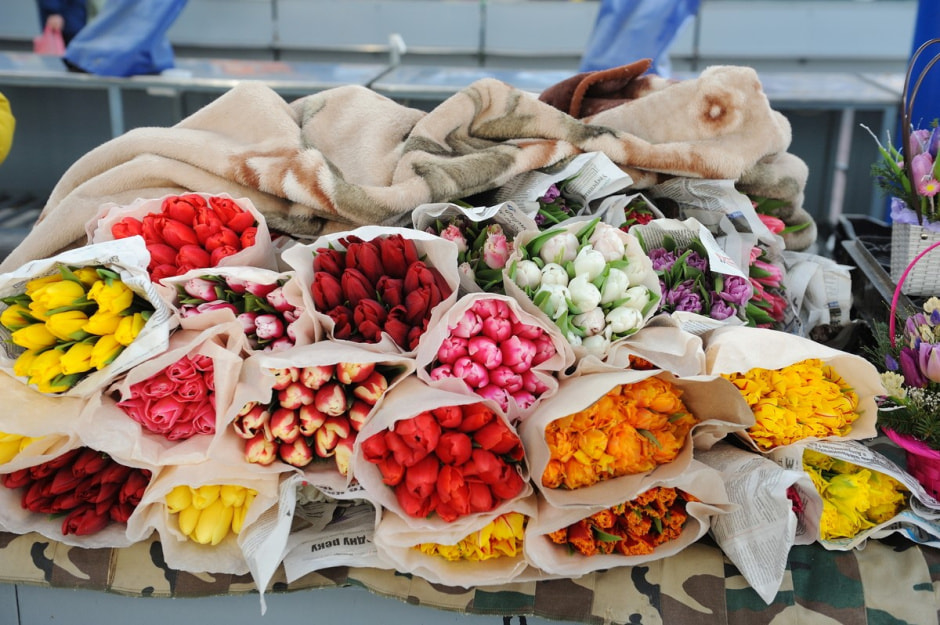 Цветы на Комаровке 14.jpg