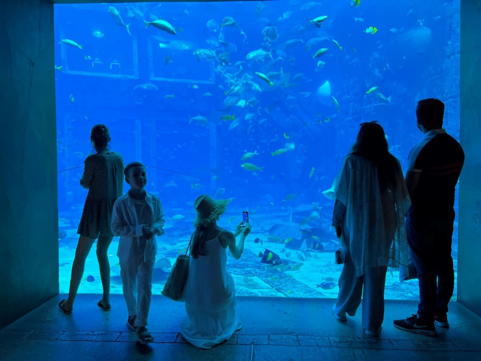 Жизнь на Пальме Дубай 30.jpg