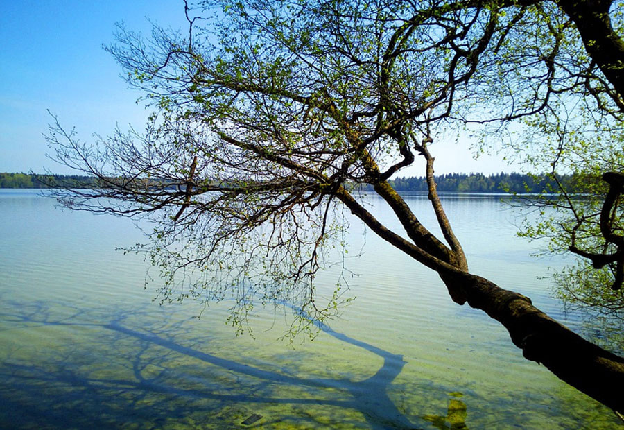 озеро беларусь