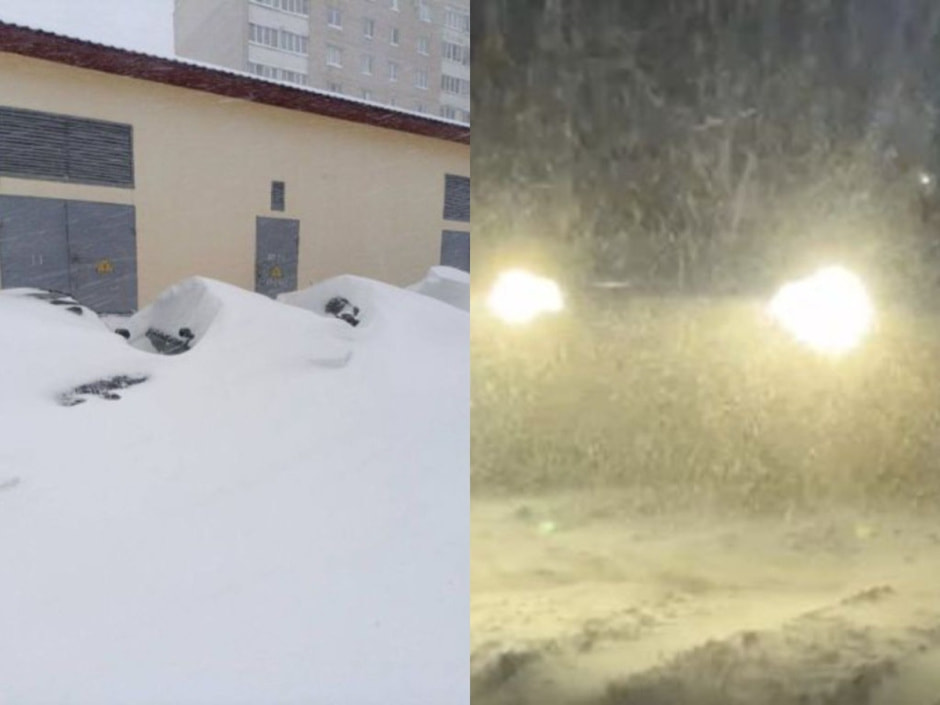 снежная буря от циклона Улли в Беларуси