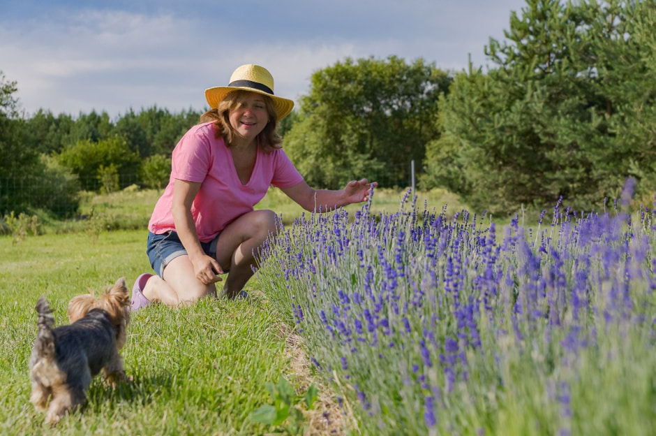Лавандовый сад в Барово 3.jpg