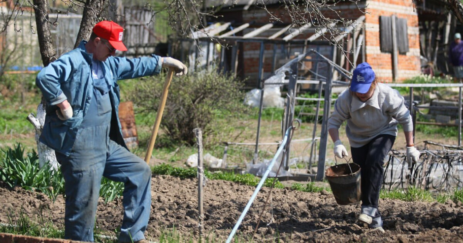 дача огород