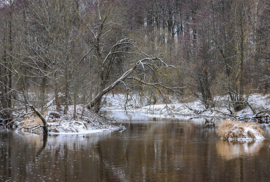 зима фото инна шкурко.jpg