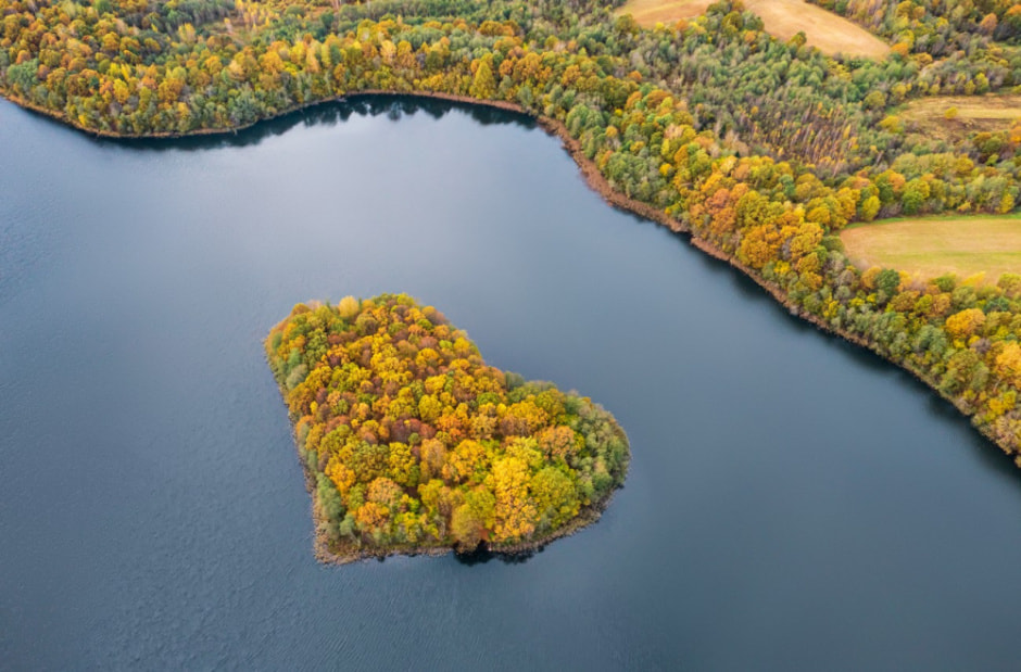 Плыткевич_сердце14.jpg Плыткевич_сердце14.jpg