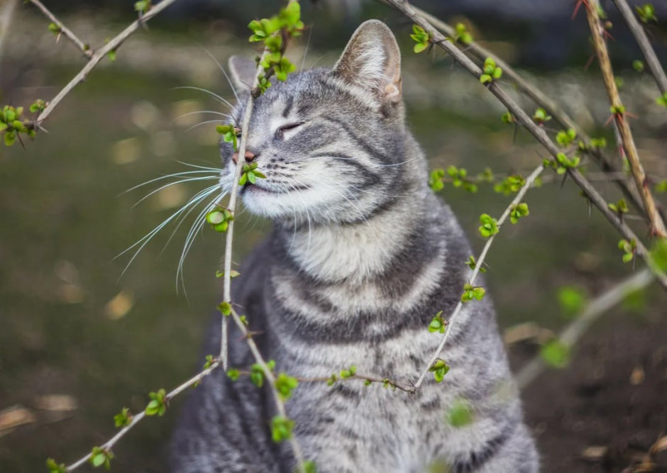 Апрель принес тепло .jpg Апрель принес тепло .jpg