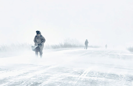 “Выворачивает не по-христиански”. Южный циклон с сильным снегом и метелями идет в эти области Беларуси