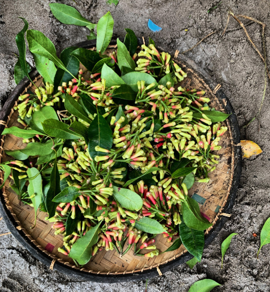 Мадагаскар (37).jpg Мадагаскар (37).jpg