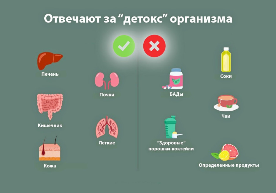Правда и мифы о правильном питании 6.jpg