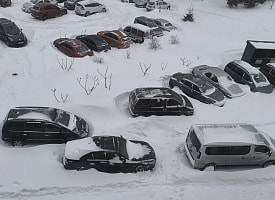 Циклоны Улли и Хавьер сравнили по последствиям: кто оказался сильнее в Беларуси