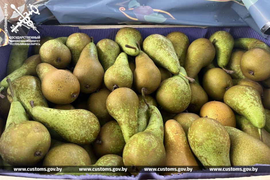груши таможня 2.jpg