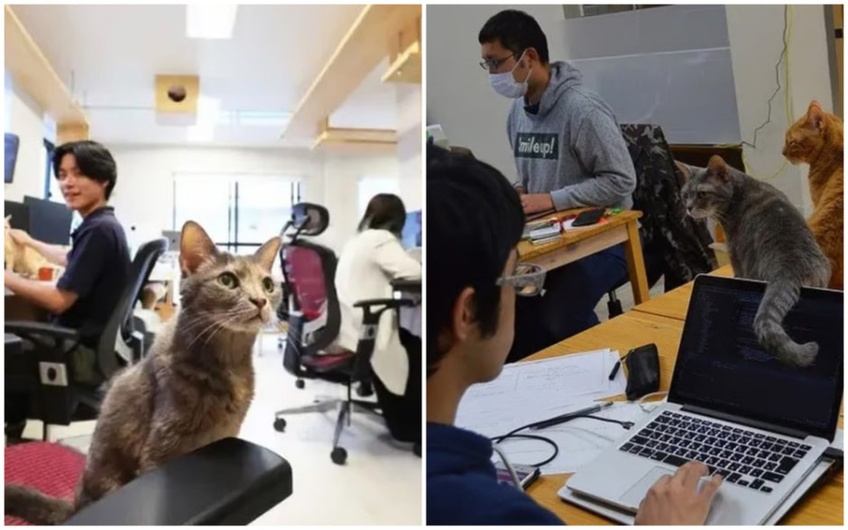 Японская компания 