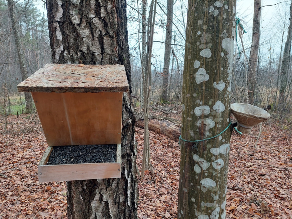 Мать барсуков 8.jpg