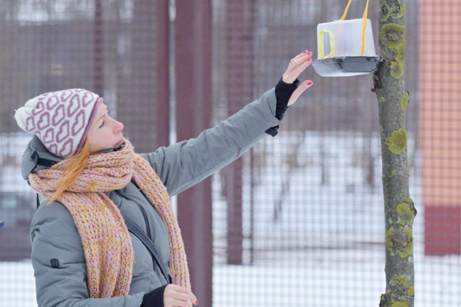 Как правильно подкармливать птиц зимой 6.png