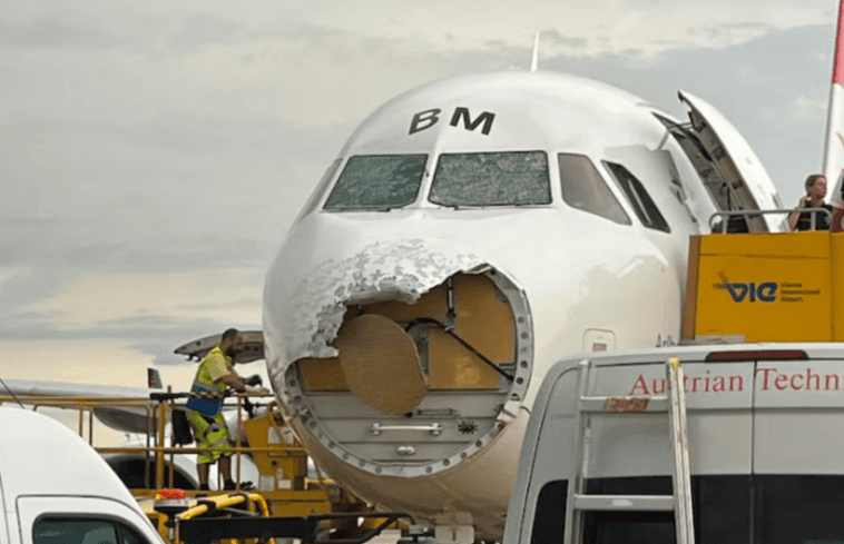 нос самолета.png