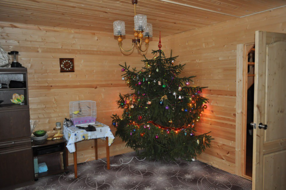 нг на даче 1.jpg